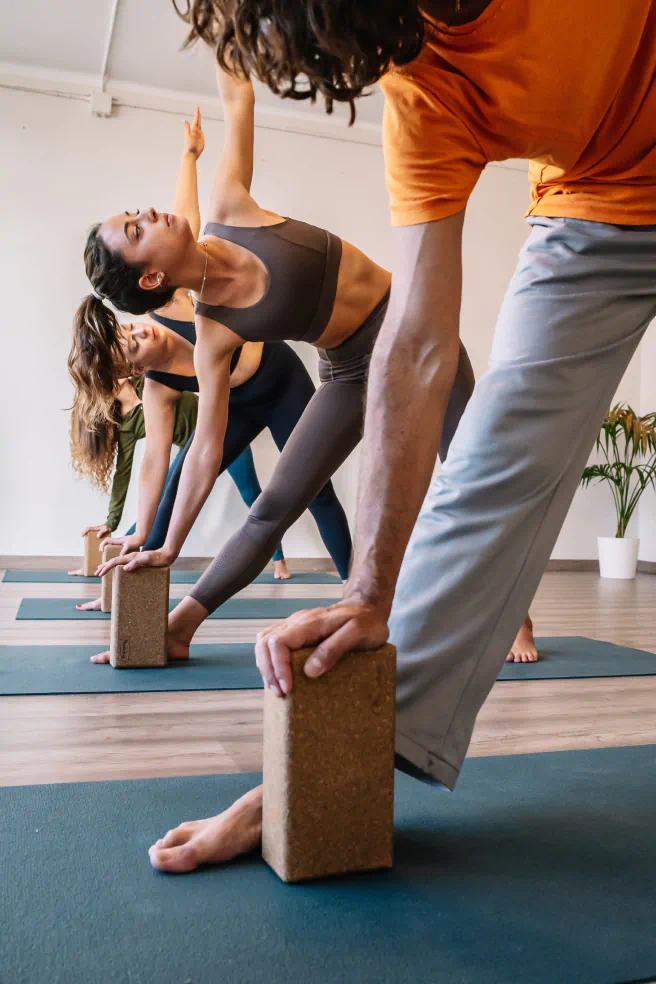 Three people practicing yoga in a studio, using yoga blocks while holding a pose, standing on green mats with a plant in the background.