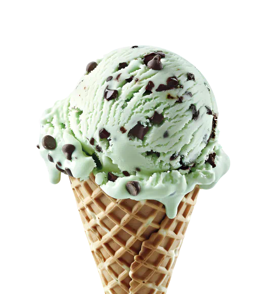 Waffle cone with a scoop of mint chocolate chip ice cream.