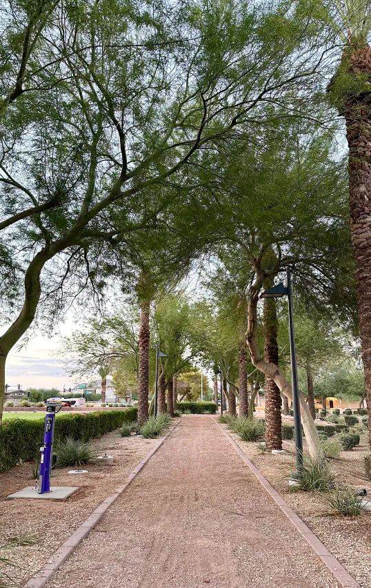 Gravel walking path through a park with desert landscaping.