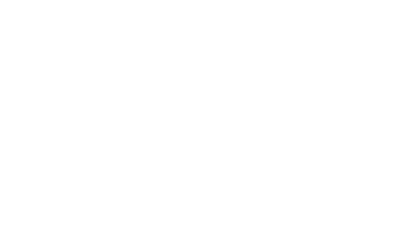 The Regency logo in white.