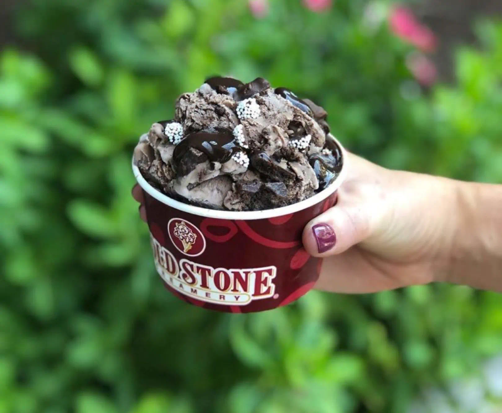 A person holds a cup of chocolate chuck ice ream topped with nonpareils and fudge.